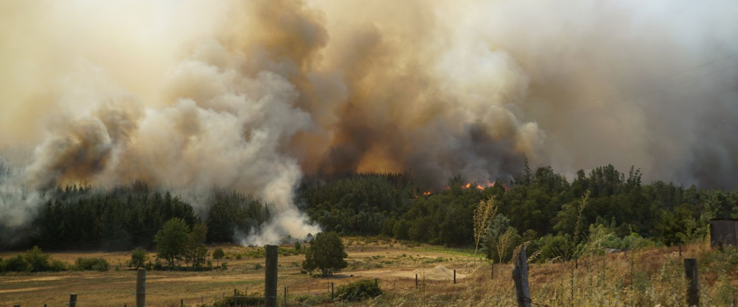 Incendios forestales y crisis hídrica: ¿Cómo están adaptándose los bomberos a esta nueva realidad?